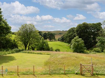 Picture 24